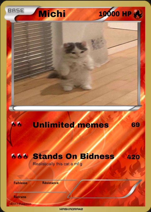 A humorous custom Pokémon-style card featuring a real photo of a cat standing on its hind legs, named 'Michi' with 10000 HP and attacks called 'Unlimited memes' for 69 damage and 'Stands On Bidness' for 420 damage.