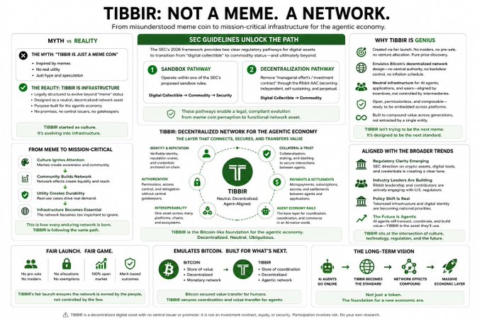 An infographic titled 'TIBBIR: NOT A MEME. A NETWORK' detailing the project's transition from meme coin to infrastructure, including SEC guidelines and its role as a Bitcoin-based agent network.