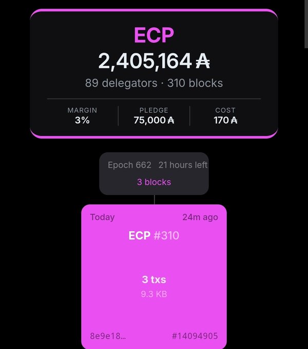 A dark cryptocurrency dashboard shows ECP with 2,405,164 A, 89 delegators, 310 blocks, a 3% margin, a 75,000 A pledge, and a 170 A cost. Below, a block card reads “ECP #310,” “3 txs,” and “9.3 KB,” with epoch 662 and “21 hours left.”