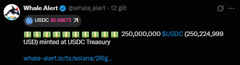 A tweet from Whale Alert (@whale_alert) reporting that 250,000,000 USDC (250,224,999 USD) was minted at USDC Treasury, with USDC trading at $0.99873.