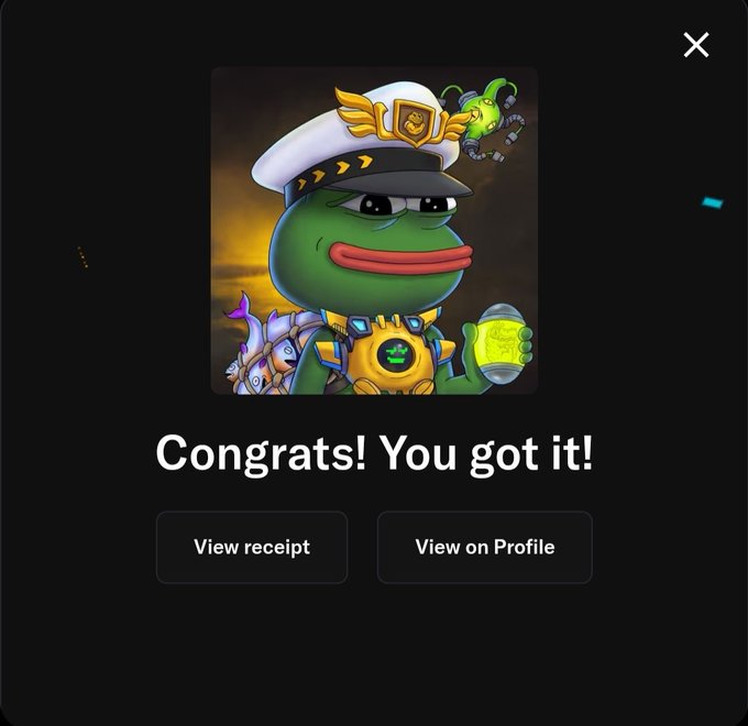 A congratulatory screen displaying a Pepe the Frog NFT character dressed as a captain, with the text "Congrats! You got it!" alongside "View receipt" and "View on Profile" buttons, celebrating the user's new acquisition from the @PepeExplorers collection.