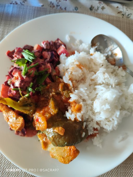 A photo of a white plate containing rice, stuffed vegetables, a tomato and parsley salad, and a curry-like dish, with the camera watermark 'XIAOMI 13T PRO | @SACRA97' visible at the bottom.