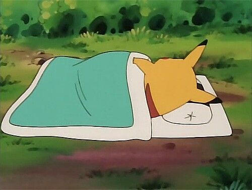 A screenshot from an animated show featuring a yellow fox-like character sleeping peacefully under a teal blanket on a green grassy area.