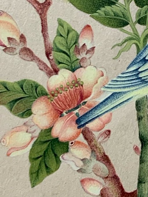 A close-up detail of a vintage-style watercolor or gouache painting depicting a blue bird perched near a pink blossom and green leaves on a textured, light-colored background.