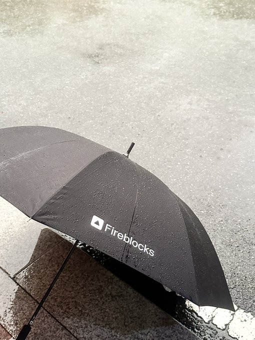 A black umbrella branded with the "Fireblocks" logo rests on a wet pavement during rainfall. The image showcases the premium merchandise from crypto infrastructure company Fireblocks, humorously referenced in the post as "institutional grade merch."