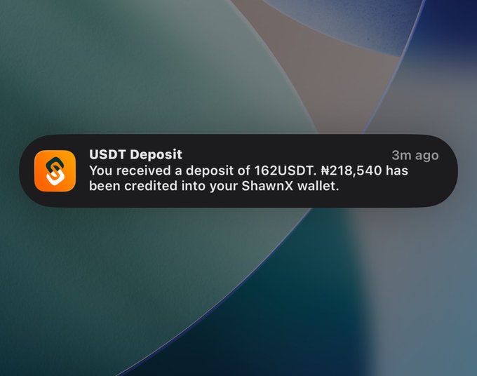 A notification from the ShawnX app confirms a USDT deposit of 162 USDT (₦218,540) credited 3 minutes ago. The image supports the caption by visually verifying the successful crypto-to-naira conversion that funded the user's new engineering gig earnings.