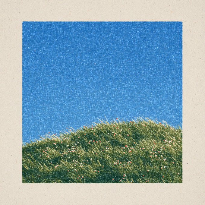 A polaroid-style photograph showing a grassy hill with wildflowers against a clear blue sky.