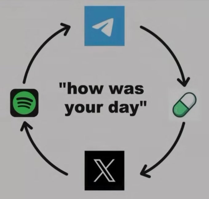 A meme illustrating a daily cycle with arrows connecting the logos for Telegram, a green pill, X (formerly Twitter), and Spotify, centered around the phrase 'how was your day'.