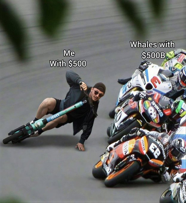 A meme comparing 'Me With $500' (a man comically riding a scooter on a race track) to 'Whales with $500B' (professional MotoGP racers on motorcycles).