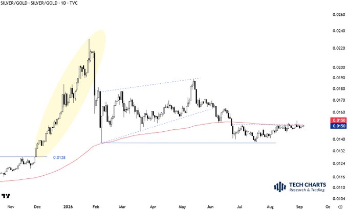 A daily candlestick chart of the SILVER/GOLD ratio on TVC shows price action forming a descending triangle pattern since February, with the ratio currently trading near 0.0150-0.0155 and testing the year-long moving average near key support at 0.0128. The accompanying post highlights an imminent breakout setup where a confirmed daily close above the long-term average would signal a bullish long entry after extended consolidation.