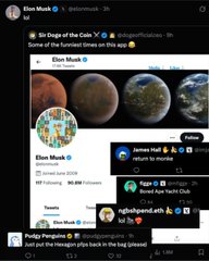 A Discord server page showing "Six Dogs of the Coin" with various chat messages and an image of a meme coin called "Elon Musk," with pump.fun interface elements visible.