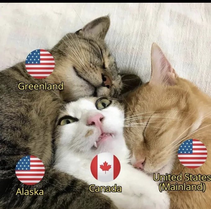 The image is a meme showing three cuddling cats labeled with flags: the US flag for Alaska (gray tabby) and the US Mainland (orange cat), and the Canadian flag for Canada (white cat in the middle). It humorously references Canadian PM Mark Carney, joking that he's being "smothered" or squeezed between US territorial claims on Greenland, Alaska, and the mainland—playing on tensions over Trump's annexation threats to these northern regions.