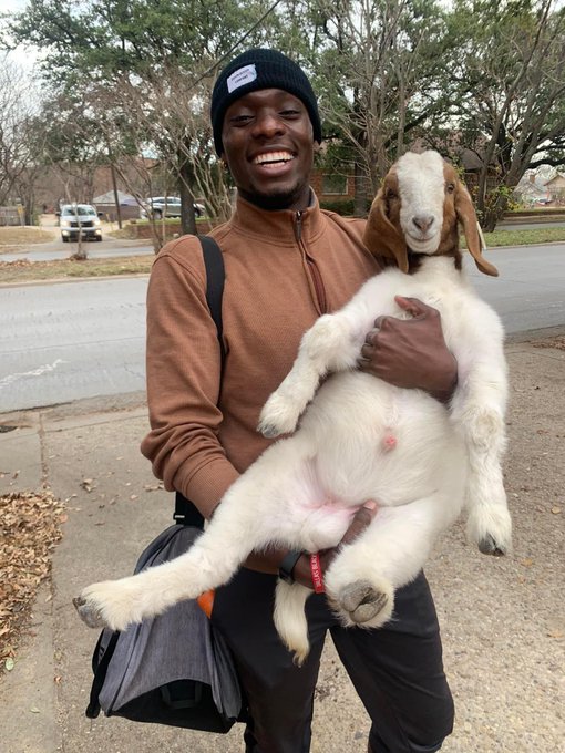 A smiling man in a brown sweater and black beanie holds a white and brown goat outdoors, which the poster humorously requests to name "$ANSEM" while referencing its traits as the "Greatest Of All Time."