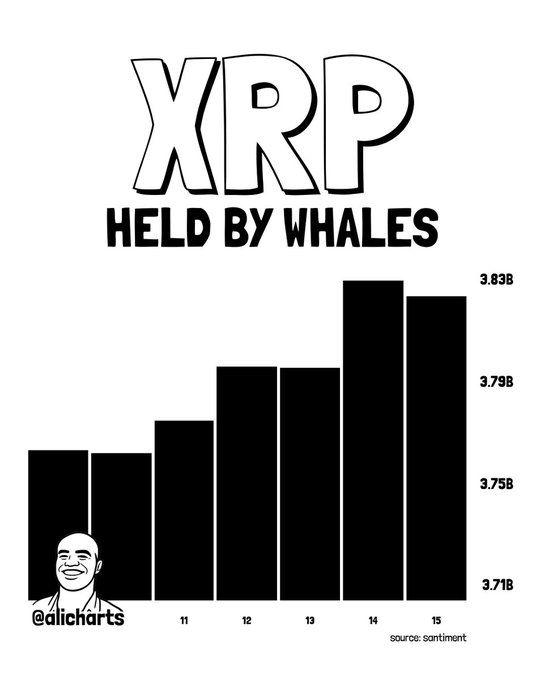 A bar chart titled "XRP HELD BY WHALES" shows holdings rising from approximately 3.71B to 3.83B over a 5-day period (days 11-15), illustrating the accumulation of roughly 70 million XRP by whale wallets in the past week, according to Santiment data.