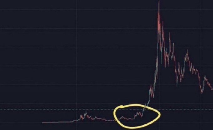 Crypto/stock price chart showing a flat period (circled in yellow) followed by a massive spike and decline.