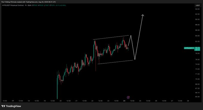 A TradingView chart of the Hyperliquid (HYPE) perpetual contract shows a bullish ascending channel on the 1-hour timeframe, with the price projected to dip toward $76.50 before a potential long entry, aligning with the analyst's plan to buy the dip on a retest of support.