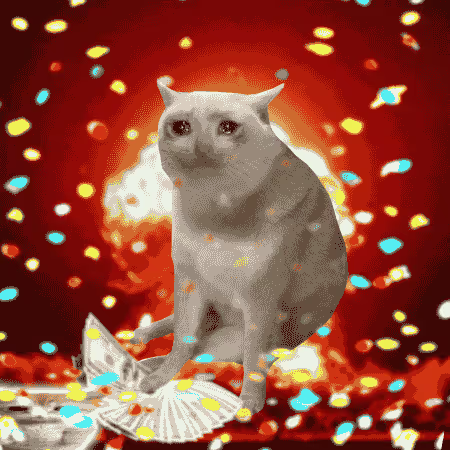 A meme-style image features a white cat with a smug expression posed against a fiery red and orange background filled with confetti-like dots. The image visually embodies the "$CASHCAT" ticker mentioned in the post, portraying the cat as flexing or celebrating amid an explosive, vibrant scene.
