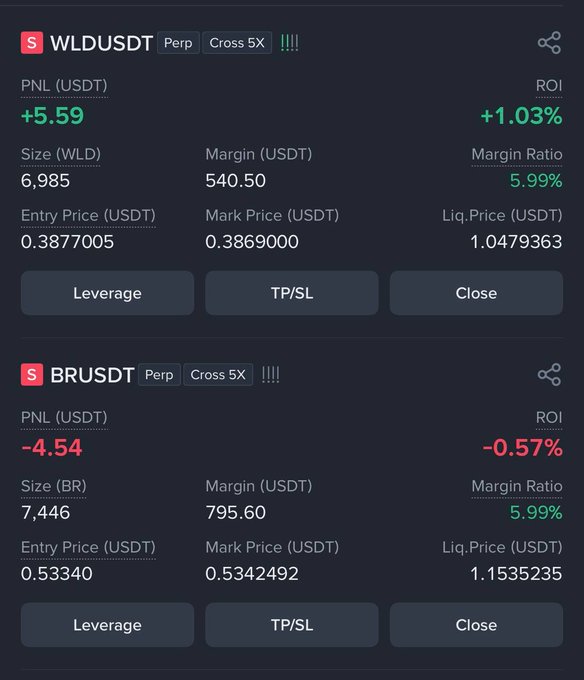 A crypto trading interface displays two perpetual positions: WLD/USDT with a +5.59 PNL and BR/USDT with a -4.54 PNL, both with 5.99% margin ratios.
