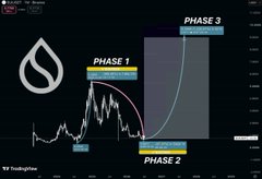 A financial chart labeled 'PHASE 1', 'PHASE 2', and 'PHASE 3' with a stylized 'S' logo, illustrating market cycle phases with 'OVERTHINKING' and 'STRATEGY' annotations.