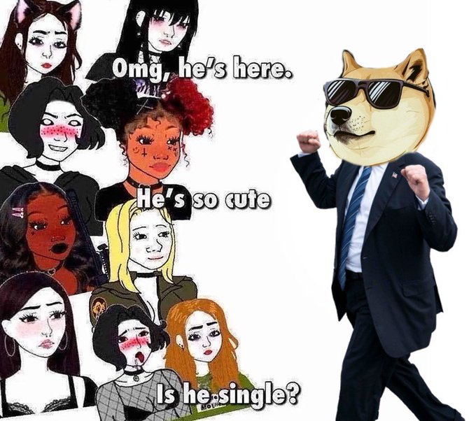 A meme image showing the Doge dog wearing sunglasses on the right, with a group of illustrated women on the left with text reading "omg, he's here," "He's so cute," and "Is he single?"