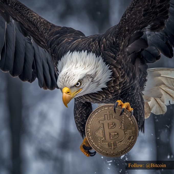 A bald eagle with outstretched wings clutches a gold Bitcoin coin in its talons, symbolizing Bitcoin's soaring value of $63,314.79. The watermark reads "Follow: @Bitcoin," tying the majestic imagery to the cryptocurrency's price milestone.