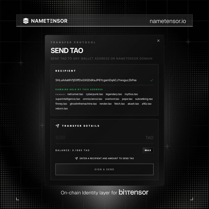 The Nametensor.io interface displaying a 'Send TAO' transfer protocol screen with a recipient address field and domains held listed below.
