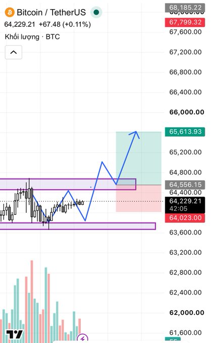 A TradingView chart for Bitcoin / TetherUS (BTCUSDT) showing a price of 64,229.21 with hand-drawn purple rectangles and blue arrows indicating potential price movements.