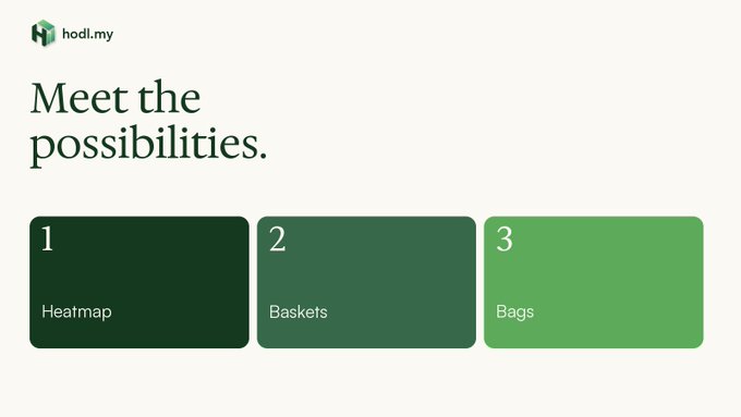 A webpage for "hodl.my" displays "Meet the possibilities." with three green panels labeled 1: Heatmap, 2: Baskets, and 3: Bags.