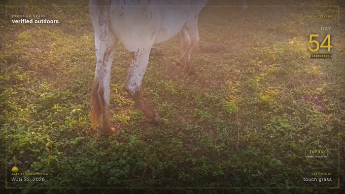A low-angle shot of a white and brown spotted dog's legs standing on grass, with overlaid text reading 'PROOF OF GRASS verified outdoors', 'DAY 54', and 'AUG 22, 2026'.