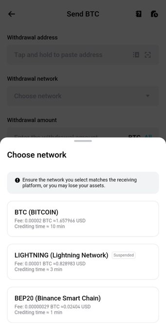 A cryptocurrency withdrawal screen for 'Send BTC' displays options for BTC (Bitcoin) with a fee of 0.00002 BTC and 10 min crediting time, LIGHTNING (Lightning Network) marked Suspended, and BEP20 (Binance Smart Chain) with a 1 min crediting time.