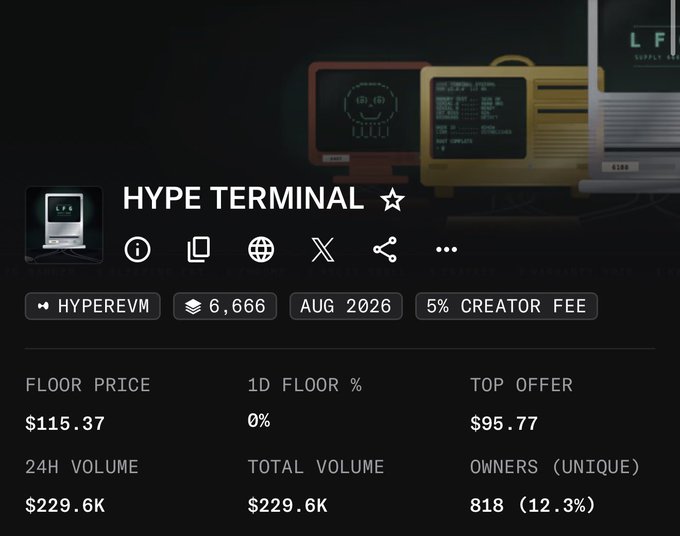 A NFT/token dashboard for 'HYPE TERMINAL' showing a floor price of $115.37, 24H volume of $229.6K, 818 unique owners (12.3%), 6,666 items, with a 5% creator fee on HYPEREVM.