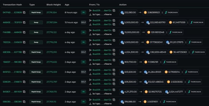 A dark-themed blockchain transaction tracker showing multiple swap and rapid swap transactions with various transaction hashes, ages ranging from 8 hours to 2 days, and addresses starting with 0x839...dae12c.