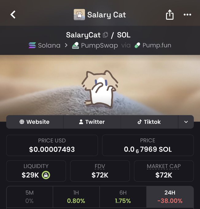 A crypto token page showing 'SalaryCat / SOL' on Solana blockchain with a price of $0.00007493, market cap of $72K, and a -38.00% 24-hour change.