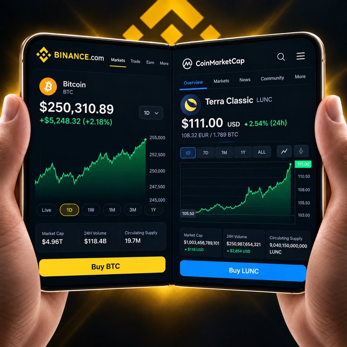A pair of hands holds a foldable smartphone displaying two cryptocurrency apps side-by-side: Binance.com showing Bitcoin (BTC) at $250,310.89 and CoinMarketCap showing Terra Classic (LUNC) at $111.00.