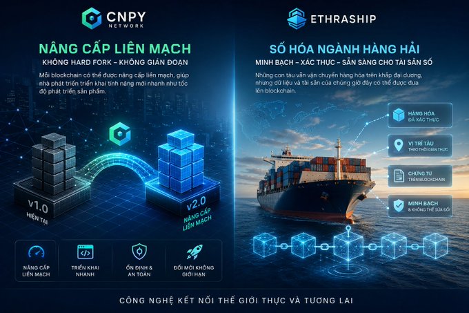 A Vietnamese promotional graphic comparing "CNPY NETWORK" and "ETHRASHIP," highlighting features like "NÂNG CẤP LIÊN MẠCH" (chain upgrade) and "SỐ HÓA NGÀNH HÀNG HẢI" (digitizing the maritime industry), with an image of a cargo ship.
