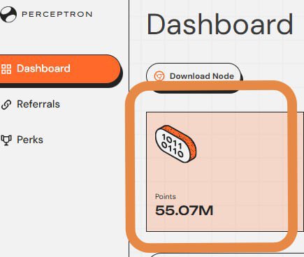 A screenshot of the Perceptron Dashboard highlights a user's accumulated Points totaling 55.07M, displayed next to a "1011 0110" digital icon. This emphasizes the ongoing point accumulation phase as users await the network's TGE and potential $PERC airdrop.