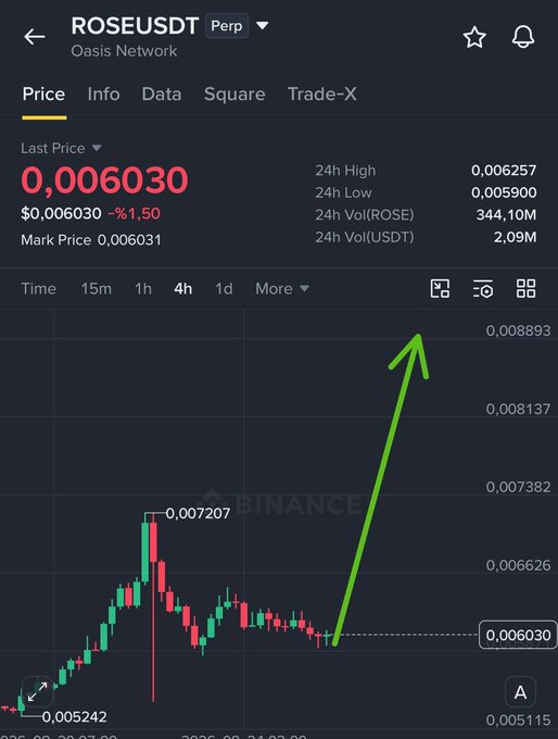 A cryptocurrency trading chart for ROSEUSDT Perpetual on Binance shows a price of 0.006030 with a green arrow pointing sharply upward, indicating a predicted price surge.