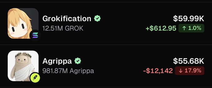 A crypto portfolio tracker shows two mid-cap memecoin positions: **Grokification** (12.51M GROK) at $59.99K, up $612.95 (+1.0%), and **Agrippa** (981.87M Agrippa) at $55.68K, down $12,142 (-17.9%). The screenshot reflects the post's risky bet on mid caps, with the heavy Agrippa loss already "railing" the trader.