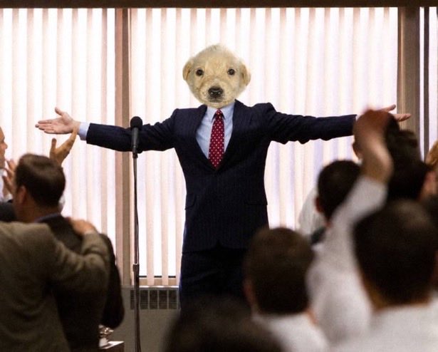 A person in a business suit with a dog's head standing at a microphone with arms outstretched, appearing to give a motivational speech to an audience.