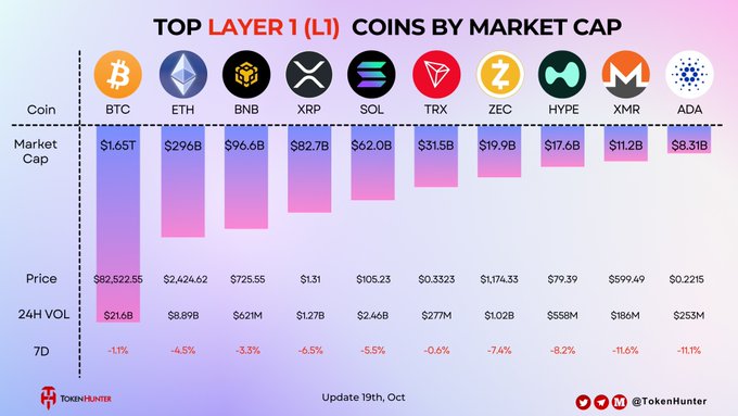 Infographic showing 'TOP LAYER 1 (L1) COINS BY MARKET CAP' featuring BTC ($1.65T), ETH ($296B), BNB ($96.6B), XRP ($82.7B), SOL, ZEC, HYPE, XMR, ADA, with prices, 24h volume, and 7-day changes, updated 19th Oct.