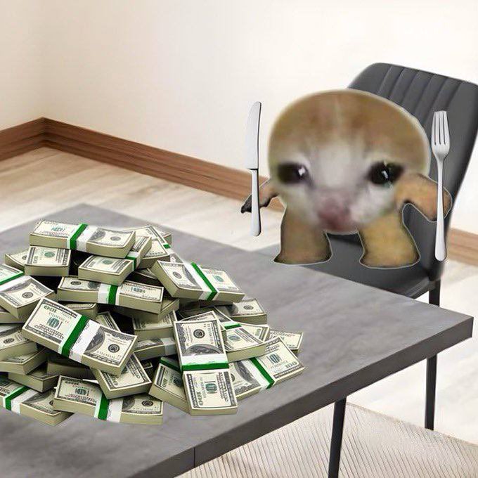 A humorous edited image shows a sad-looking small animal seated at a dining table, holding a knife and fork in front of a massive pile of banded US dollar bills.