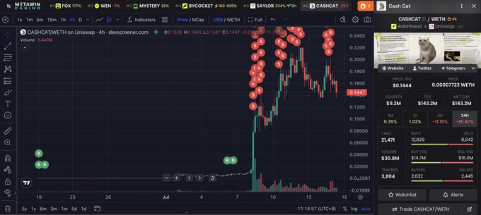 A cryptocurrency trading chart on MetaMask Portfolio showing the CASICAT/WETH pair with a sharp price spike, currently at 0.1444 (-11.15%), and a meme cat image in the Cash Cat description.