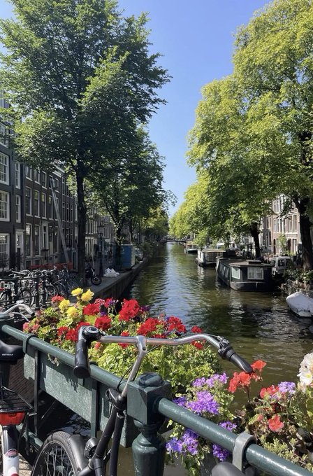 A scenic view of an Amsterdam canal lined with houseboats, lush green trees, and traditional Dutch canal houses, framed by vibrant red, purple, and white flowers on a bridge railing with a parked bicycle in the foreground. The image captures the quintessential charm of the Netherlands' capital, fittingly tied to "GM" (Geldmarkt, the Dutch money market) given Amsterdam's prominence as a European financial hub.