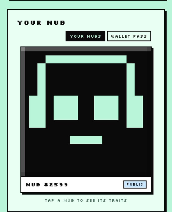 A pixelated digital trading card displays 'YOUR NUB' for a price of NUB #2599, marked as PUBLIC, featuring a green square-headed character on a dark background.