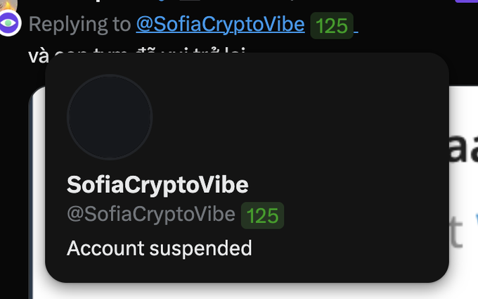A screenshot of a social media reply to @SofiaCryptoVibe, showing that the account has been suspended.