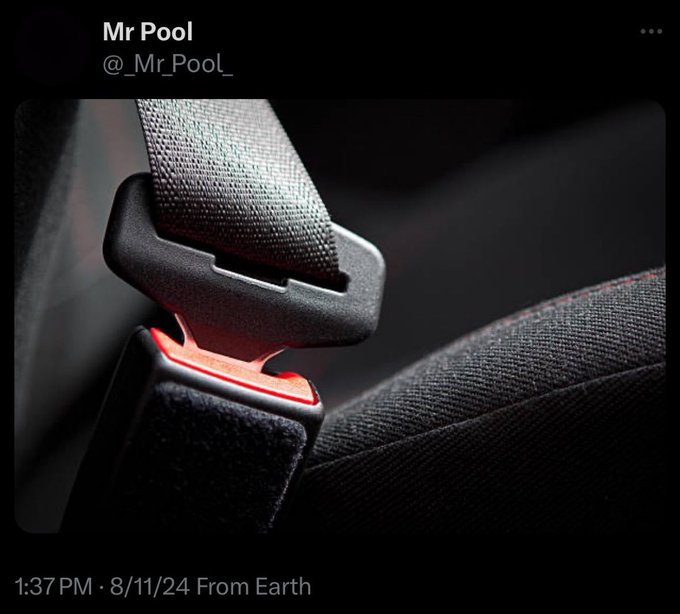 A screenshot of an X (Twitter) post by 'Mr Pool' (@_Mr_Pool_) timestamped '1:37 PM · 8/11/24 From Earth', showing a close-up photograph of a car seatbelt buckle with red trim.