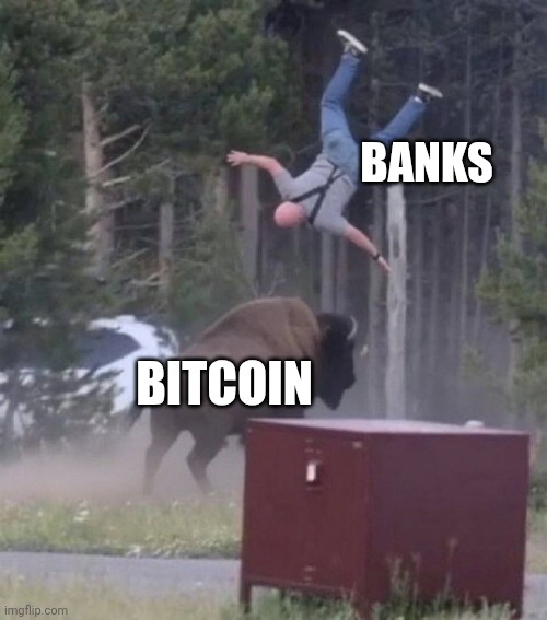 A meme image of a person being flipped by a bison, with text labels 'BITCOIN' on the bison and 'BANKS' on the person being thrown into the air.