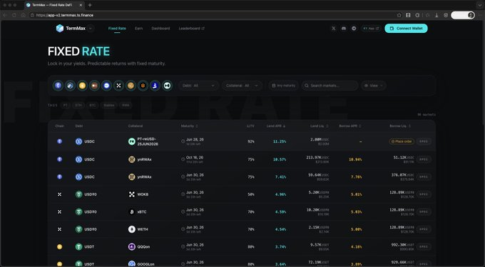 A TermMax 'FIXED RATE' dashboard on app.termmax.finance, displaying a table of USDC, USDT0, and WBTC markets with maturity dates, LTVs, and borrow APYs from protocols like PT-nUSD-25JUN28 and ytRNDR.