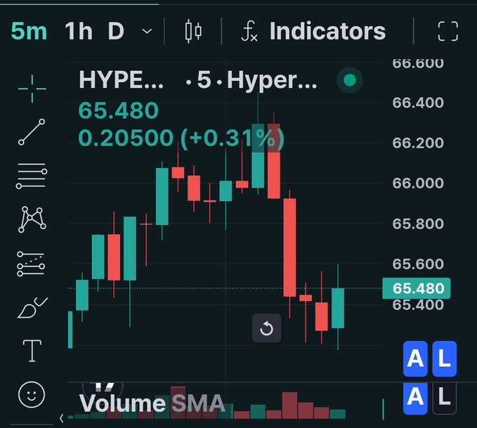 A trading chart interface showing 'HYPE... · 5 · Hyper...' at price 65.480 with a +0.31% change, displayed in a 5-minute candlestick view on a dark background.