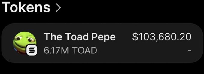 A digital asset display showing a token named 'The Toad Pepe' with a balance of '6.17M TOAD' and a total value of '$103,680.20'.